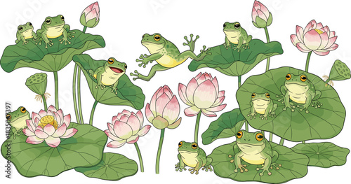 Group of cute green frogs sitting and jumping among blooming lotus flowers on large lily pads, playful pond nature illustration scene