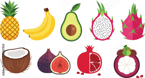 Colorful tropical fruit collection illustration with pineapple banana avocado dragon fruit coconut fig pomegranate mangosteen healthy exotic produce design