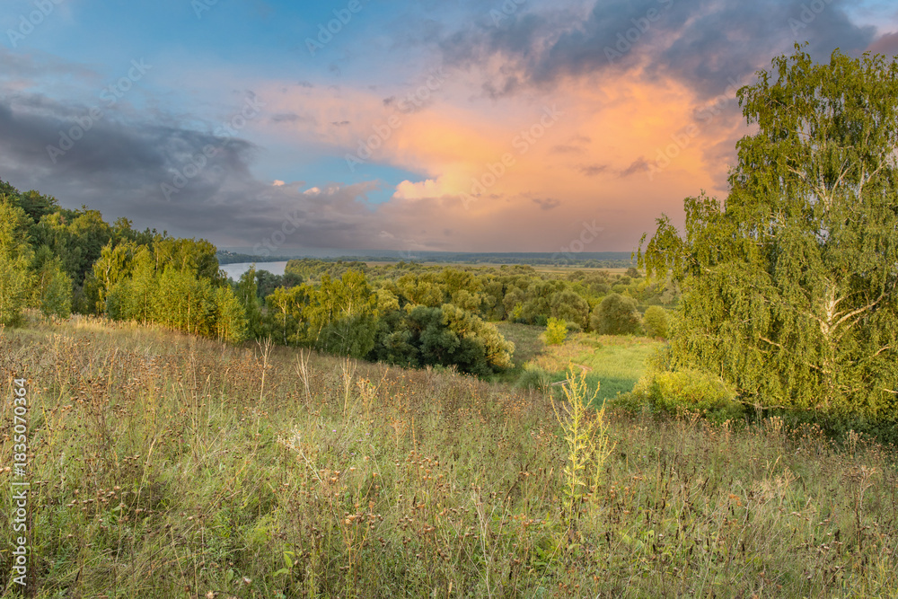 Obraz premium Field of grass with a beautiful sunset in the background