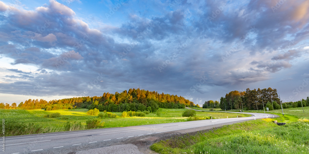 Fototapeta premium Road with a few trees in the background and a cloudy sky