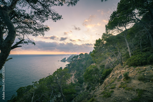 Fototapeta Naklejka Na Ścianę i Meble -  Beautiful view of the ocean with a cloudy sky in the background