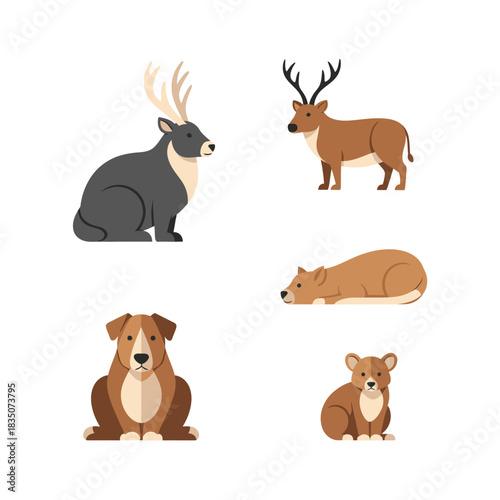Various animals including deer dog and rodent illustrations.