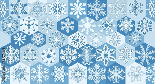 Collection of blue snowflakes in various shapes and patterns  