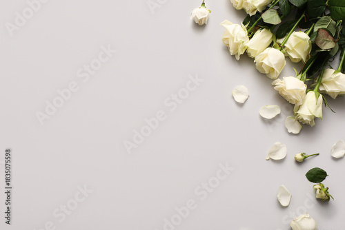 Beautiful white roses on gr...