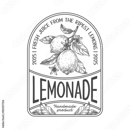 Vector lemonade label template with hand drawn lemon branch illustration. Handmade product.