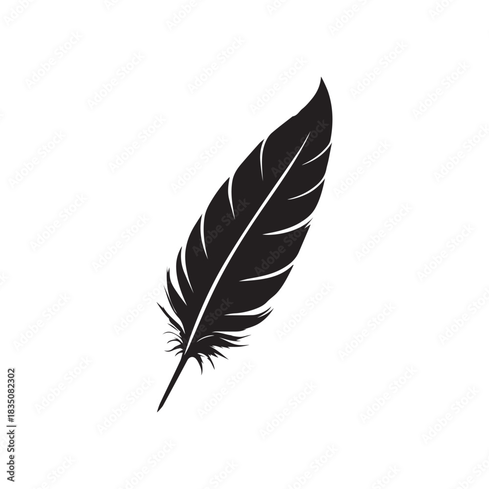 Fototapeta premium feather isolated on white background
