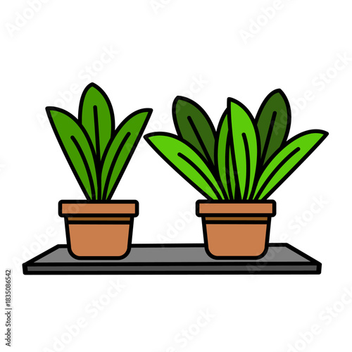 Twin Leafy Plants on Shelf