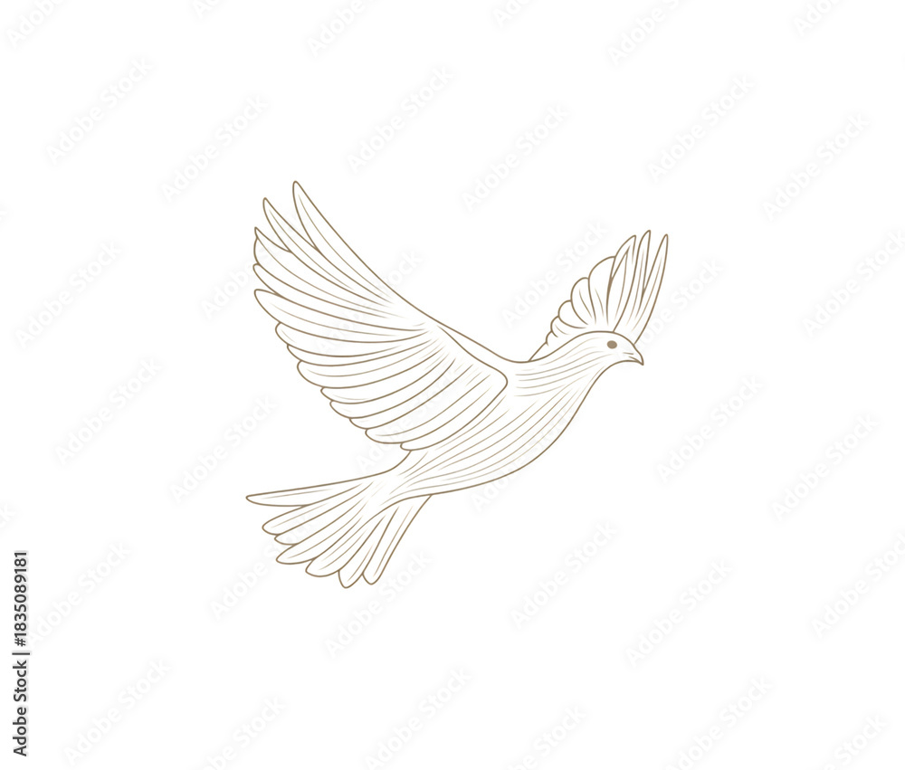 Fototapeta premium Detailed line art sketch of a bird in flight isolated on transparent background