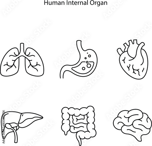 Human Internal Organ Anatomy Line Icon Set. Liver, Brain, Stomach, Heart, Lung, and Intestine Linear Pictogram. Healthcare Sign. Vector Illustration.