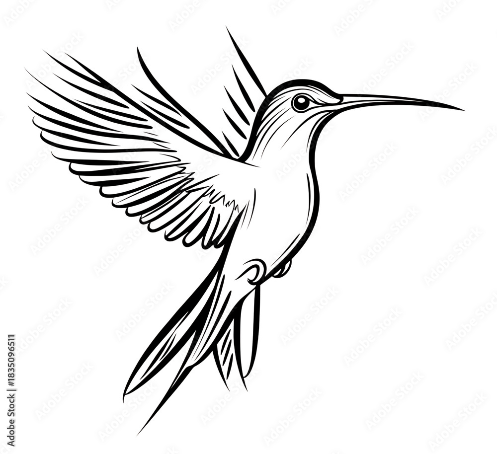 Obraz premium Detailed sketch of a hummingbird in flight with intricate feather details isolated on transparent background