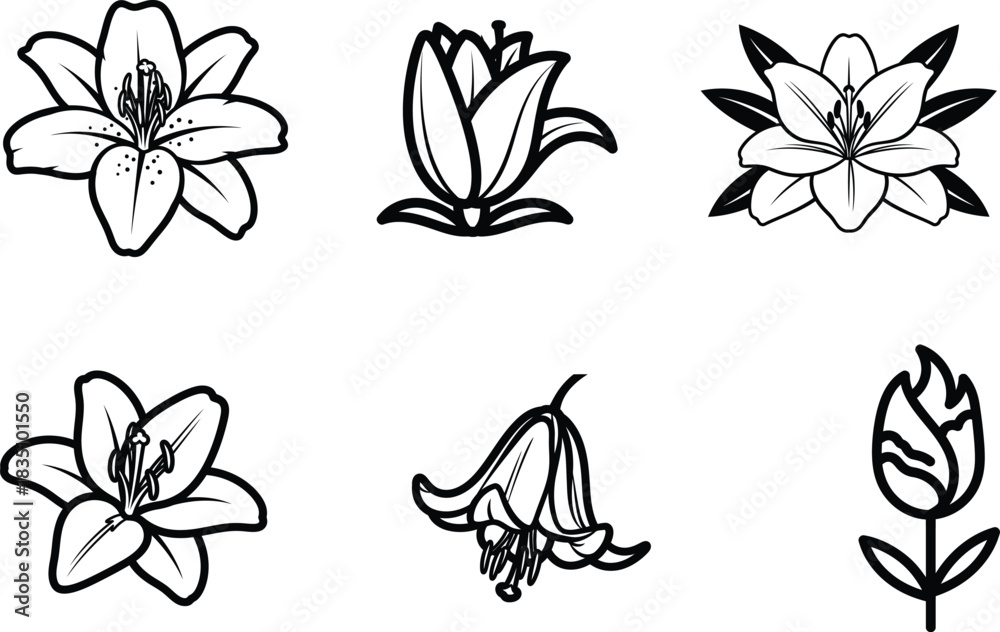 Fototapeta premium Elegant floral outline collection for creative projects featuring lily and tulip illustrations ideal for botanical themed designs and minimalist artwork perfect for greeting cards and invitations