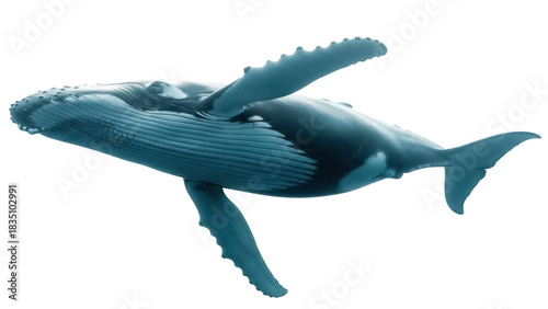 Foto Humpback whale isolated PNG on transparent background, majestic marine mammal wi