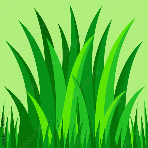 Dense vibrant green grass field illustration for nature designs