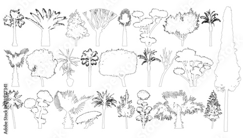 Trees set , contours. Collection of tropical plants. Isolated. Vector illustration
