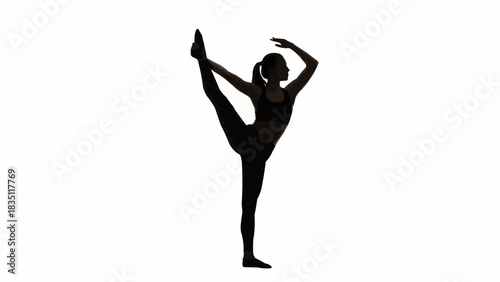 Silhouette of a dancer in a graceful pose against a white background.