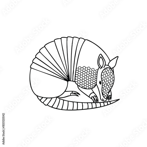 Line drawing of a curled up armadillo with a shell, viewed from the side, on a white background.