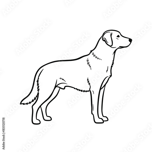 Black line drawing of a standing dog in profile against a white background.