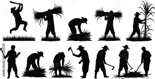 Sugarcane, farming, silhouette, posture, gesture, machete, bundle, planting, harvesting, hoe, sickle, hat, vector, black, pose, setup, manual, rural, agriculture, flavector