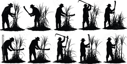 Sugarcane, harvest, silhouette, posture, machete, sickle, cutting, farming, field, labor, vector, black, pose, setup, agriculture, manual, tool, rural, tradition, flavector