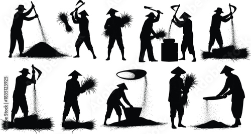 Rice, farming, silhouette, harvest, posture, threshing, winnowing, bundle, crop, labor, field, vector, black, pose, setup, agriculture, rural, tool, tradition, flavector