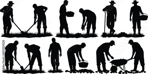 Harvest, farming, silhouette, posture, digging, basket, wheelbarrow, crop, field, vector, black, pose, setup, agriculture, manual, labor, teamwork, tool, produce, flavector
