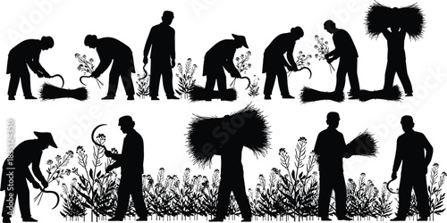 Harvest, crop, silhouette, posture, bundle, sickle, digging, field, farming, labor, vector, black, pose, setup, agriculture, manual, tradition, rural, tool, flavector
