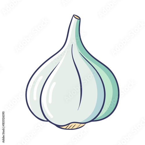 vector illustration of an onion