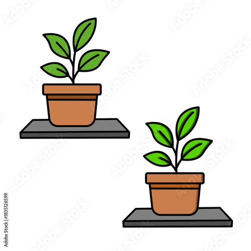 Small Leafy Plant on Shelf