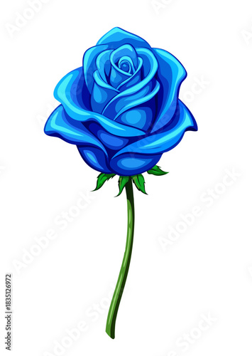 rose on white background