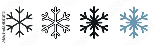 Collection of four snowflake icons in different graphic styles including line art, outline, and solid color silhouettes for winter holiday and weather themed design