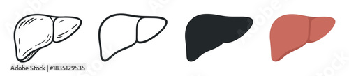 Human liver organ vector icon set showing various graphic styles like line art, solid silhouette, hand drawn doodle, and simple flat color illustration for healthcare