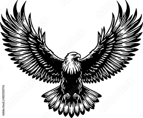 eagle with wings vector art design illustration fly 