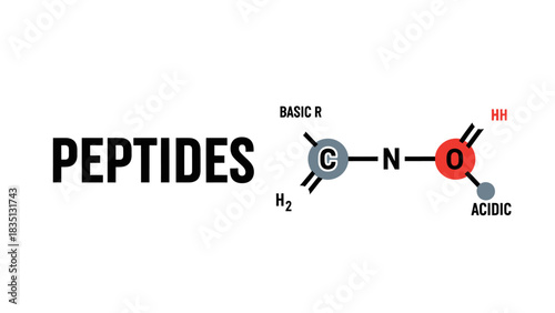 Peptide Bond Chemical Structure Diagram - Basic R and Acidic Group