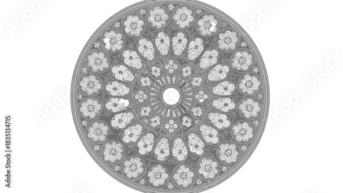Circular Floral Ceiling Rosette Design, Vector Mandala Ornament with Decorative Pattern