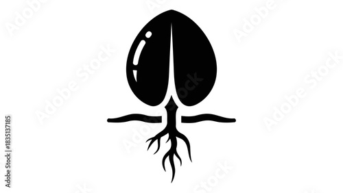 Isolated black silhouette of a sprouting seed with roots growing from its base, symbolizing new life and growth on a pla