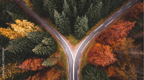 pivotal. Aerial view of a forked path in an autumn forest, representing pivotal life choices. representing seasonal cycles and harvest abundance.