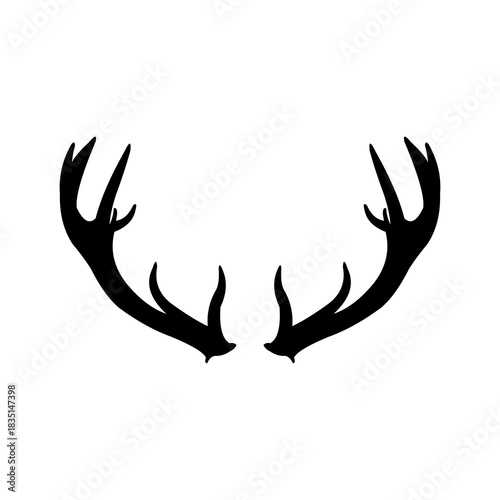 Silhouette of animal horns isolated on white background