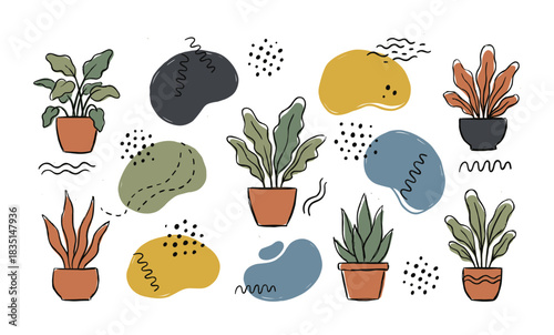 Collection of houseplants. Abstract organic shapes. Hand-drawn potted plant illustrations.