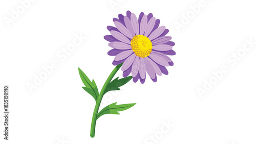 Elegant purple aster flower with bright yellow center and green stem brings a fresh, cheerful vibe to any design project beautifully
