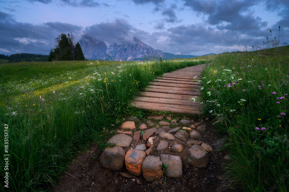 Fototapeta premium Scenic landscape with a wooden path, green grass with flowers in Alpe di Siusi with the Sassolungo mountain during a cloudy sunset in the Dolomites, Italy. Alpine mountains at dusk in summer. Nature