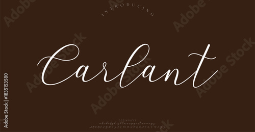 Typography beauty fashion elegant minimalist serif italic fonts decorative wedding vintage retro logos. Minimal luxury font alphabet logo. Vector illustration