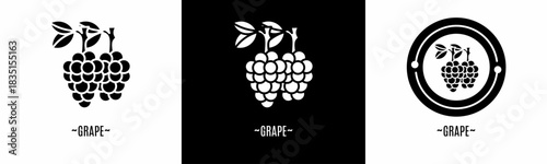 Grape logo set. Collection of black and white logos. Stock vector.