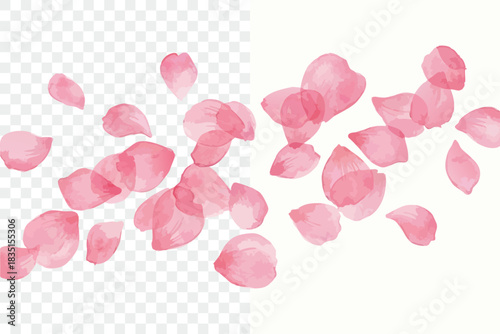 Loose watercolor rose petals. Pink petals artwork. Delicate flower petals in watercolor style.