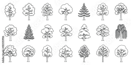 Ink Drawing Style Tree Collection Forest Wood Outline Icon Symbol. Pictogram Arbor Day Celebration Plant Species Tree Line Art, Black and White Vector Illustration.