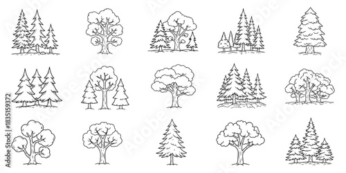 Nature Forest Line Art: Evergreen and Deciduous Tree Sketches, Woodland Outlines, Black and White Botanical Drawings, Rustic Tree Silhouettes, Forest Scenery vectors. 