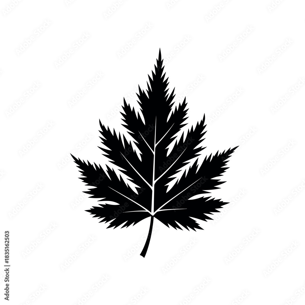 Fototapeta premium Black and white leaf illustration.