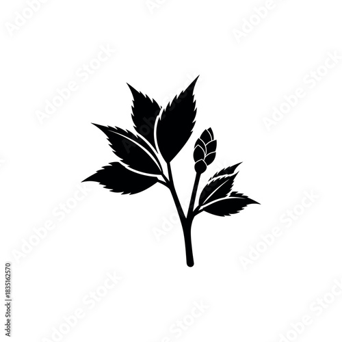 Black silhouette of a hop plant with leaves and a cone.