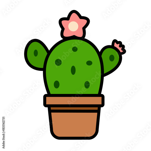 Blooming Round Cactus Showing Color