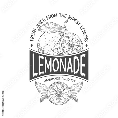 Vector lemonade label template with hand drawn lemon with leaves illustration. Template for label, packaging with text.