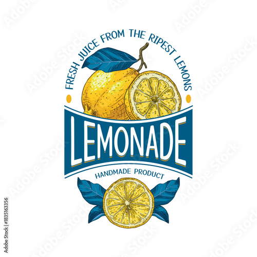 Vector lemonade label template with hand drawn lemon with leaves illustration. Template for label, packaging with text.
